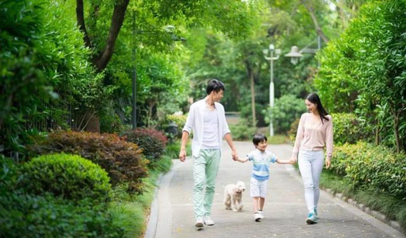 跟团游潮：舒适便捷，让旅行更轻松！